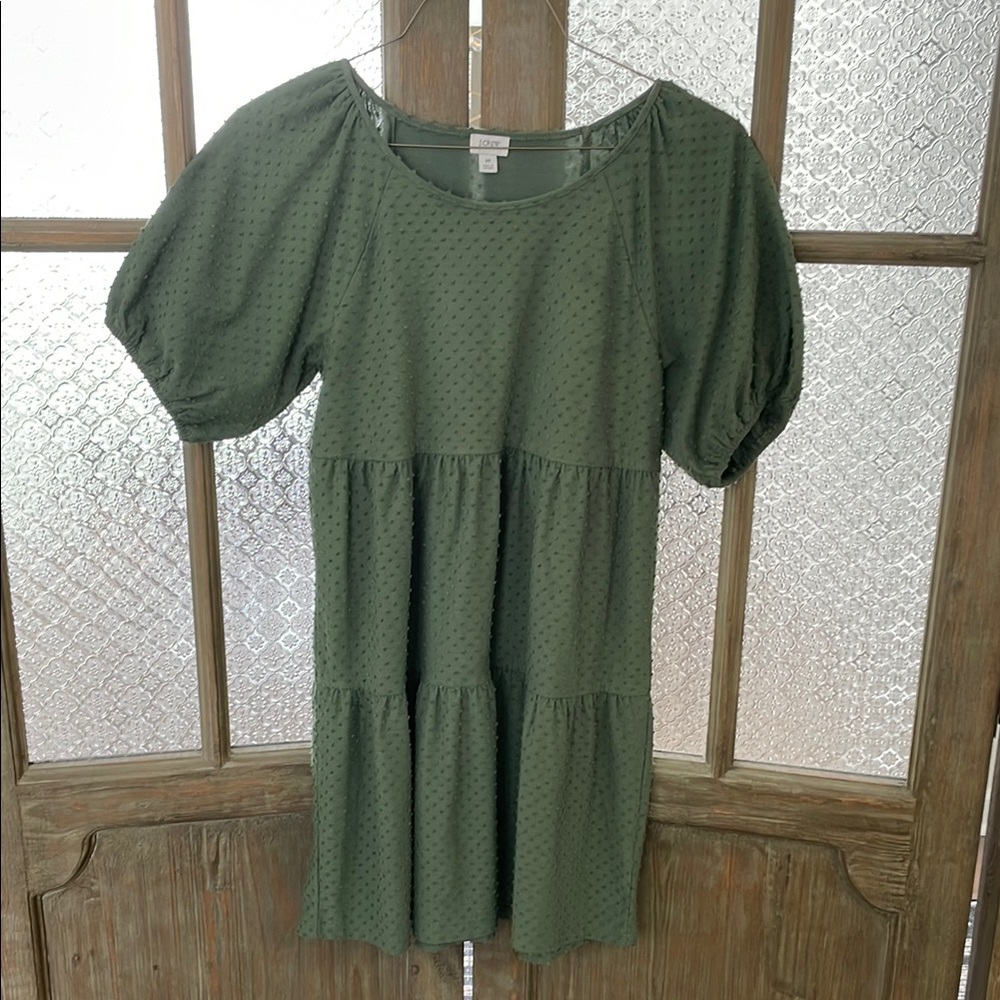 J. Crew Women’s Swiss Dot Olive Dress - Size M